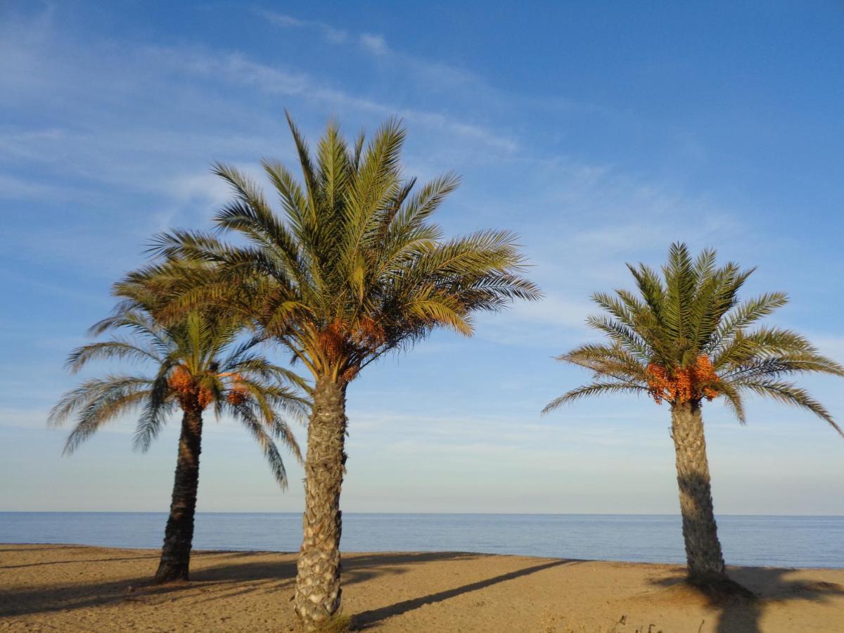 Precioso Apart Sur Y Norte Cerca Playa Y Centro - Cascadas De La Marina Denia Exterior foto